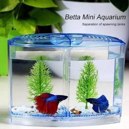 Double Betta Tank